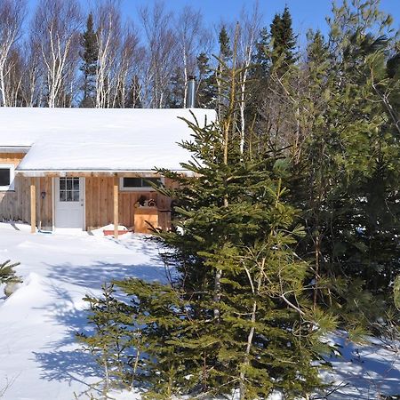 The Sleeping Moose Cottage Birch Plain Esterno foto