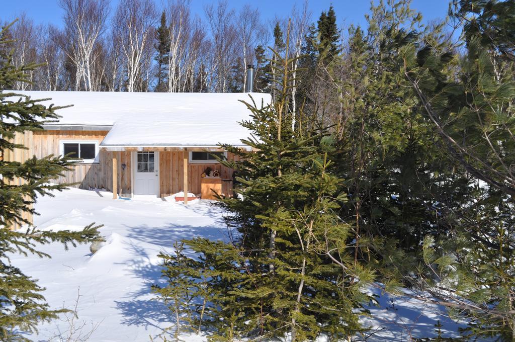 The Sleeping Moose Cottage Birch Plain Esterno foto
