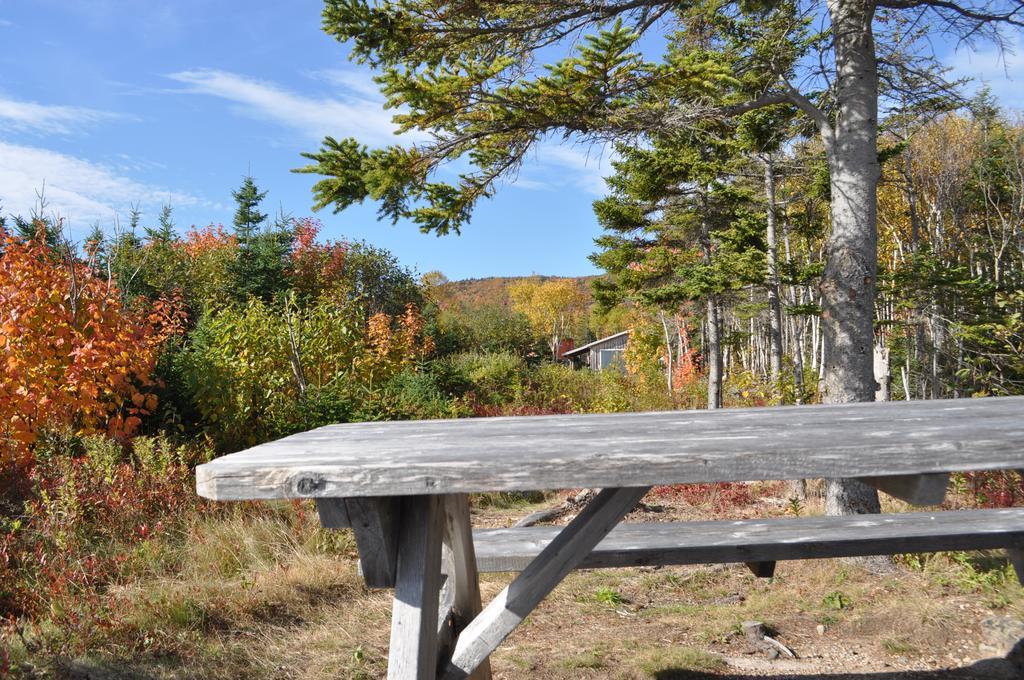 The Sleeping Moose Cottage Birch Plain Esterno foto
