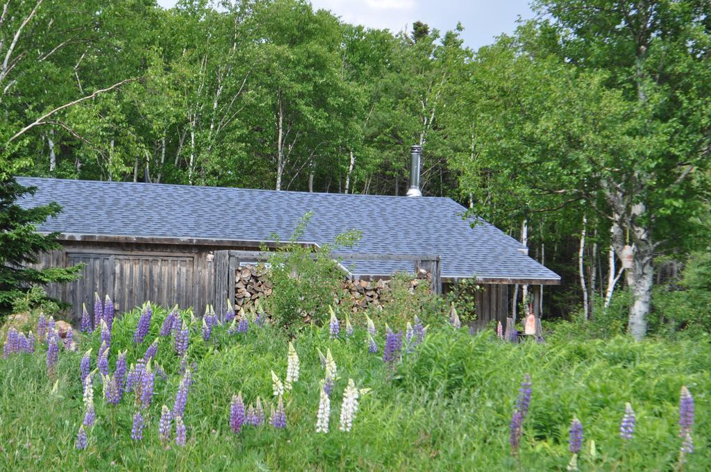 The Sleeping Moose Cottage Birch Plain Esterno foto