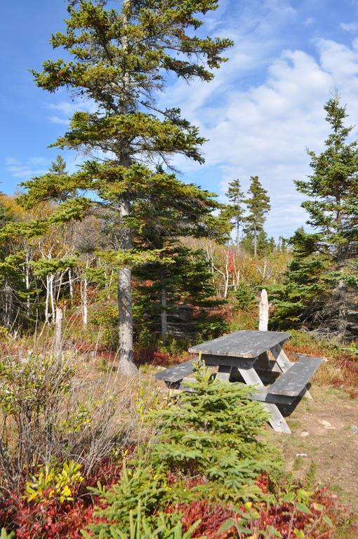 The Sleeping Moose Cottage Birch Plain Esterno foto