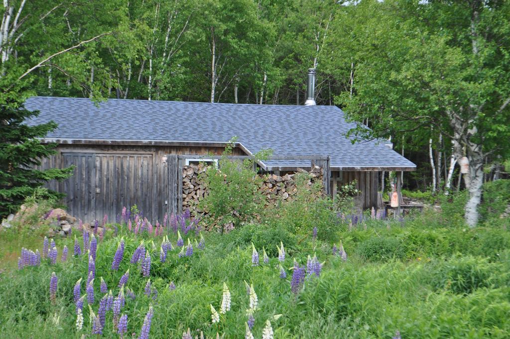 The Sleeping Moose Cottage Birch Plain Esterno foto