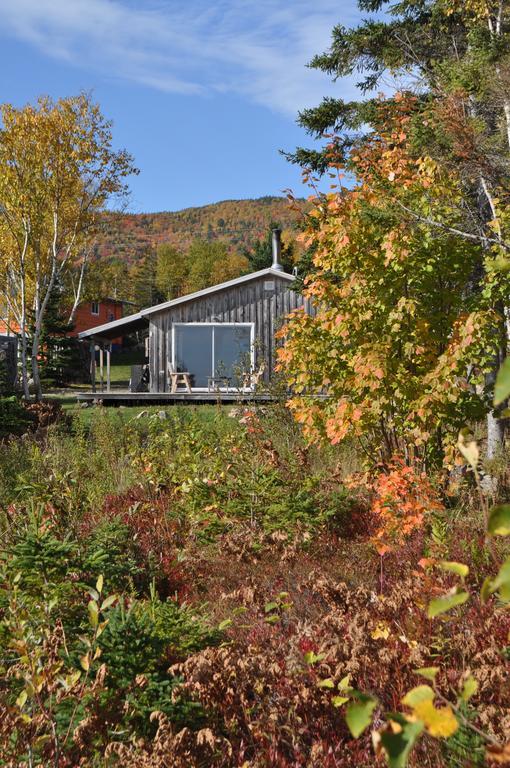 The Sleeping Moose Cottage Birch Plain Esterno foto