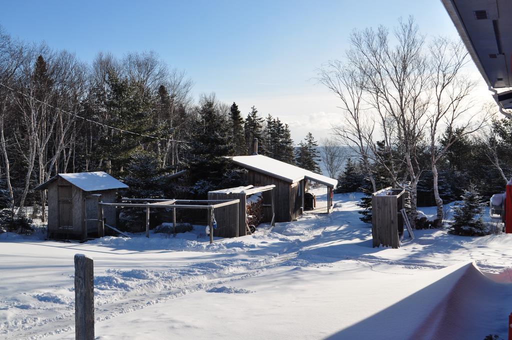 The Sleeping Moose Cottage Birch Plain Esterno foto